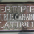 Double Canadian Platinum Closeup (Photo)